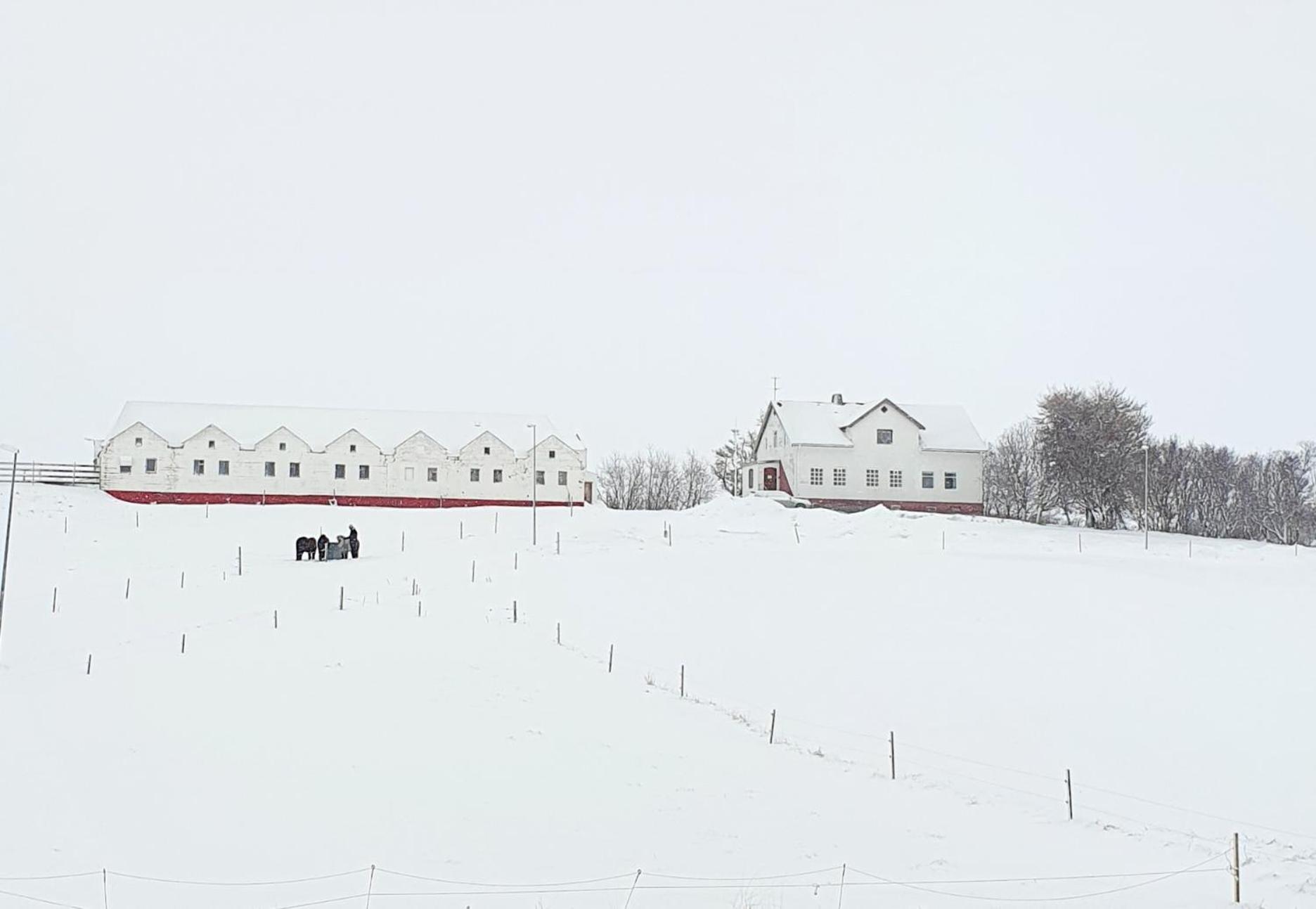 Helluland Guesthouse Saudarkrokur Exterior photo